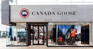 Canada Goose (