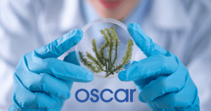 Oscar Health Stock