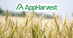 Appharvest Stock