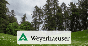 Weyerhaeuser Stock