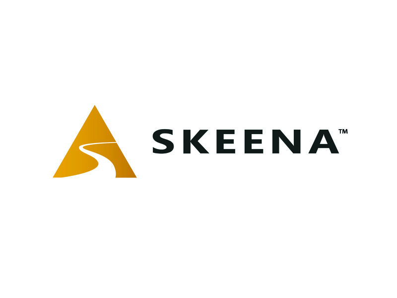 Skeena Resources Ltd