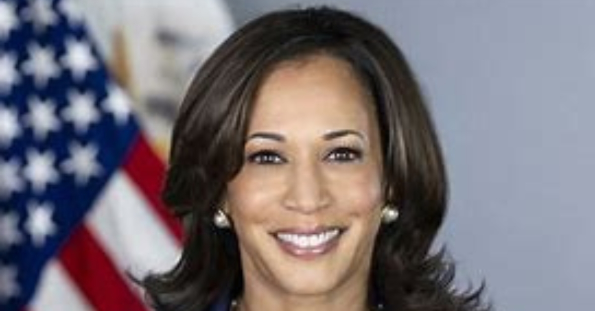 Kamala Harris’s Strategy for Economic Equality and Sustainable Growth